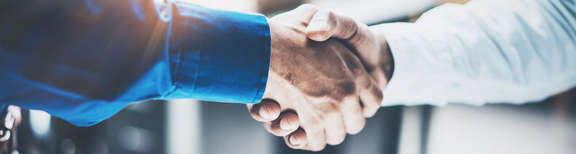 TJ Hamilton Volkswagen Careers